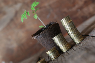 Similar image 13144365