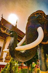 Similar image 13135751