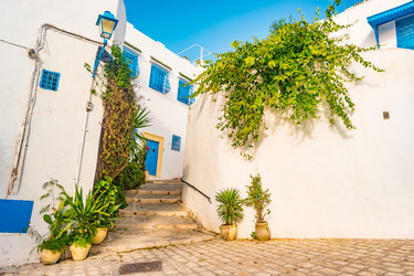 Similar image 13135997