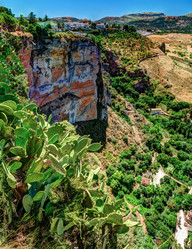 Similar image 13136731