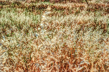 Similar image 13136827