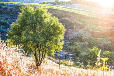 Similar image 13136847