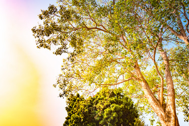 Similar image 13137442