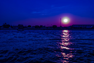 Similar image 13135373