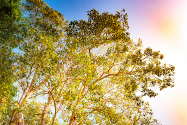 Similar image 13135869