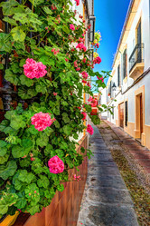 Similar image 13136734