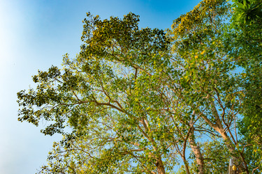 Similar image 13136962