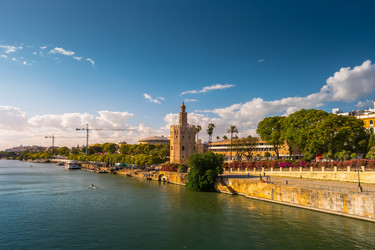 Similar image 13136773