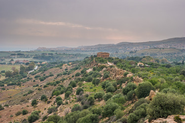 Similar image 13136829