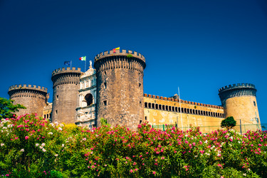 Similar image 13135433