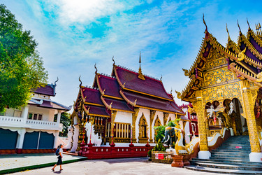 Similar image 13135528