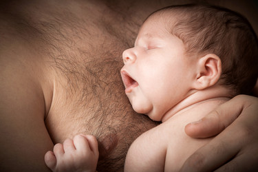 Similar image 13114293