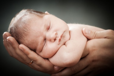 Similar image 13114081