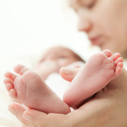 Similar image 13117669