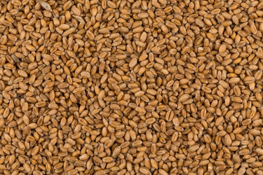 Similar image 13115785