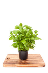 Similar image 13115814