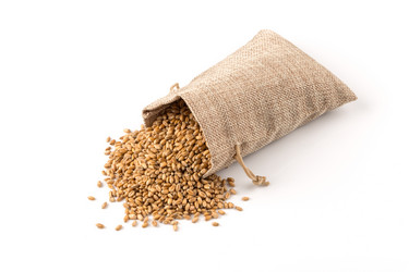 Similar image 13115830