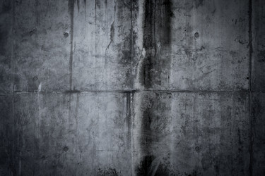 Similar image 13115831