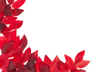 Similar image 13115848