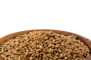 Similar image 13115850