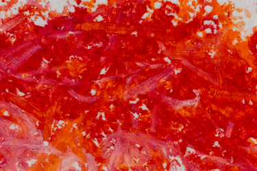 Similar image 13115866