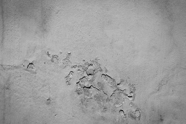 Similar image 13115886