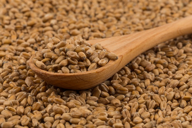 Similar image 13115928