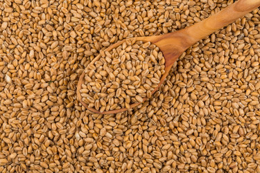 Similar image 13115929