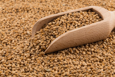 Similar image 13115930