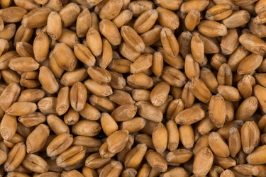 Similar image 13115931