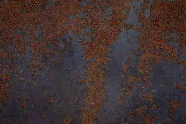 Similar image 13115945