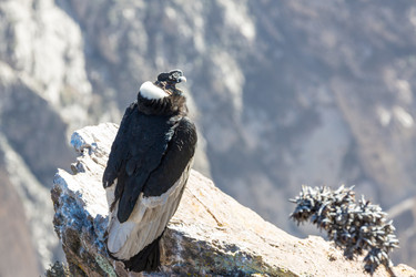 Similar image 13146690