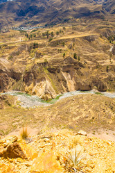 Similar image 13146697