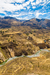 Similar image 13146699