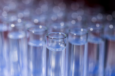 Similar image 13115965