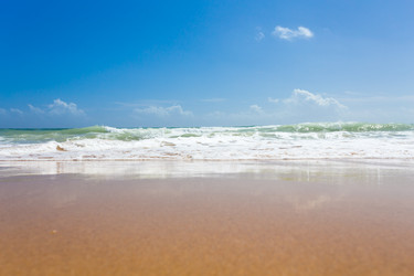 Similar image 13115986