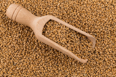 Similar image 13115646