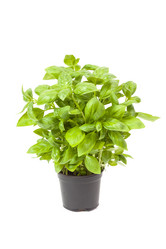 Similar image 13115649