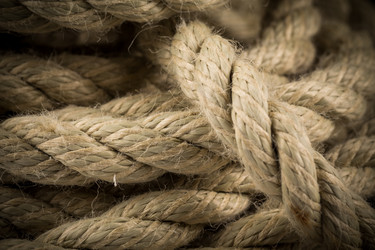 Similar image 13115666