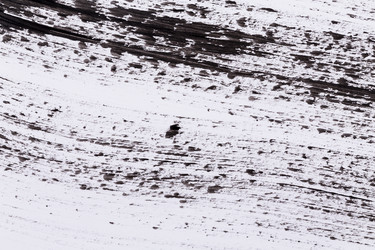 Similar image 13115685