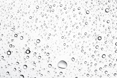 Similar image 13115692