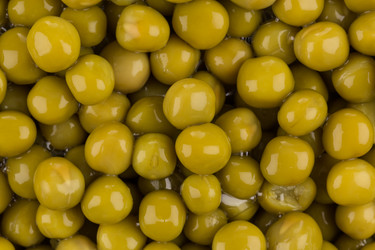 Similar image 13115708