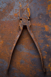 Similar image 13115732