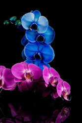 Similar image 13115751