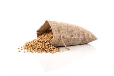 Similar image 13115771