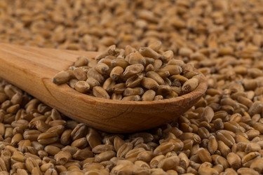 Similar image 13115772