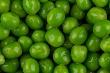 Similar image 13115792