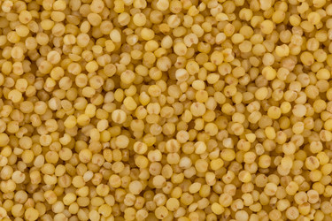 Similar image 13115800