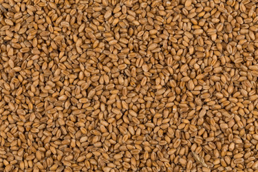 Similar image 13115818