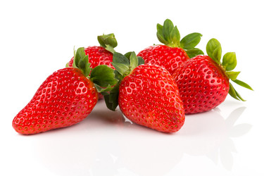 Similar image 13115822